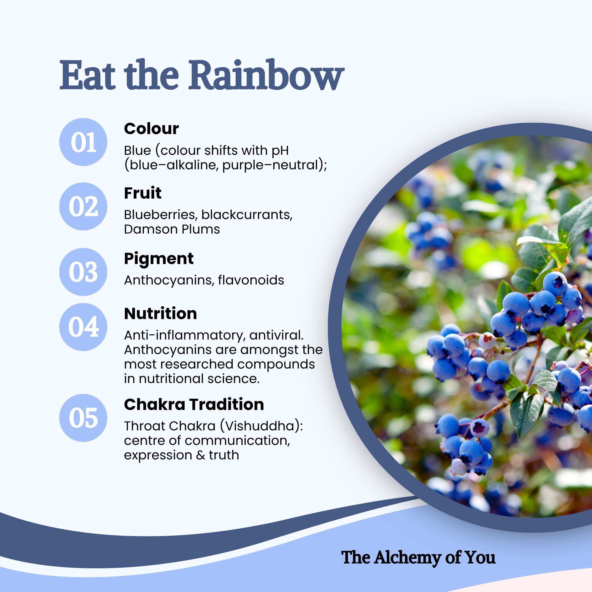 Eat the Rainbow - blue fruits: blueberries, blackcurrants and damson plums; pigments: anthocyanins and flavonoids; chakra: throat (Vishuddha)