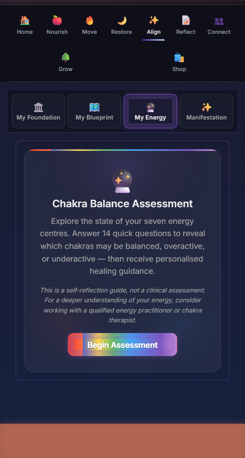 Chakra check-in and energy mapping
