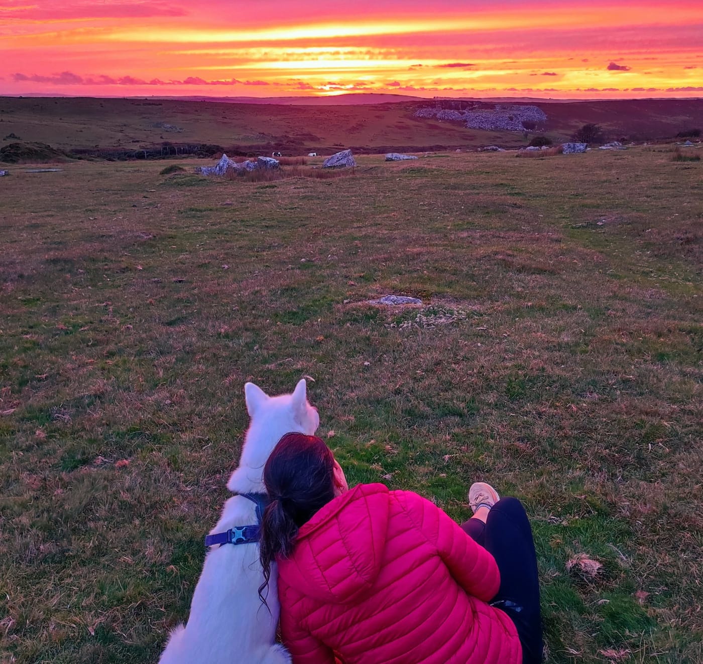 Lisa and her white dog watching a moorland sunset together